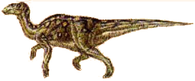 Hadrossauro Hadrossauro