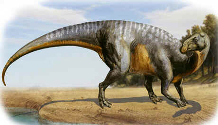 Hadrossauro Hadrossauro