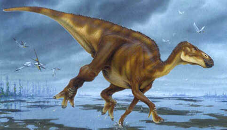 Hadrossauro Hadrossauro