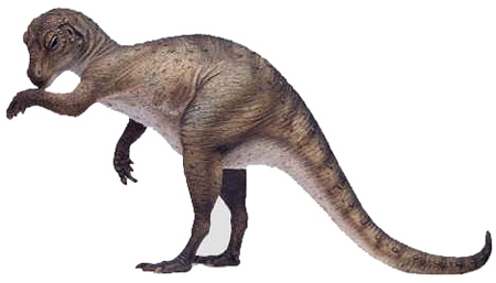 Heterodontossauro Heterodontossauro