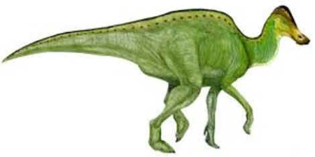 Hypacrossauro