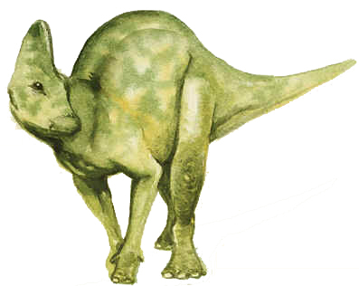 Hypacrossauro