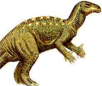 Iguanodonte