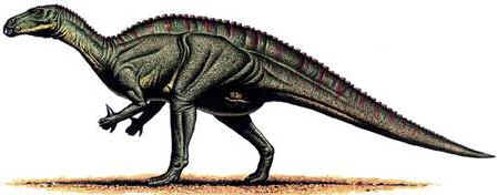 Iguanodonte