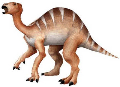 Iguanodonte