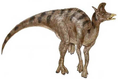 Lambeossauro Lambeossauro