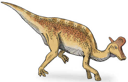 Lambeossauro Lambeossauro