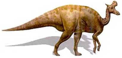 Lambeossauro Lambeossauro