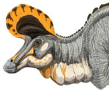 Lambeossauro Lambeossauro