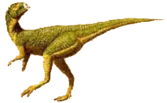 Leaelinassaura Leaelinassaura