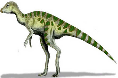 Leaelinassaura Leaelinassaura