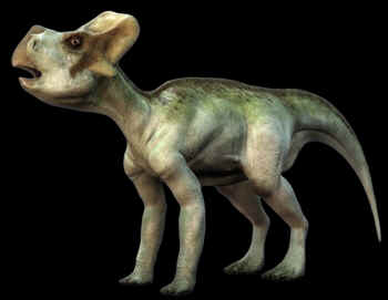 Leptocerátops Leptocerátops