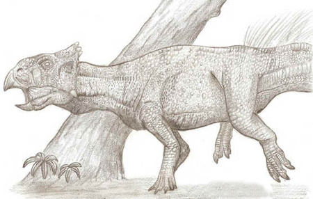 Leptocerátops Leptocerátops