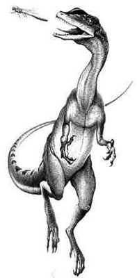 Liliensternus Liliensternus