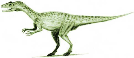 Liliensternus Liliensternus