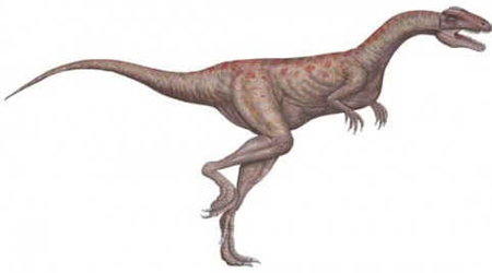 Liliensternus Liliensternus