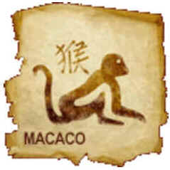 Macaco (Hou)