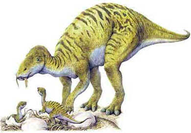 Maiasaura Maiasaura