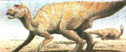 Maiasaura Maiasaura