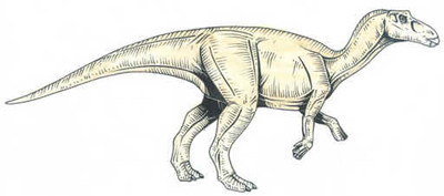 Maiasaura Maiasaura
