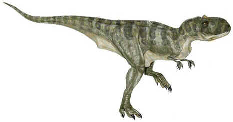 Majungatolo