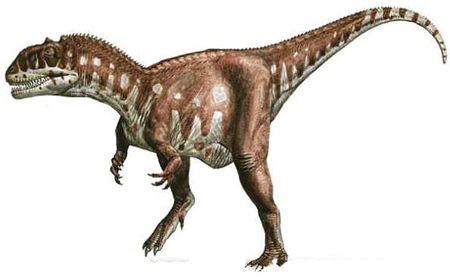Majungatolo