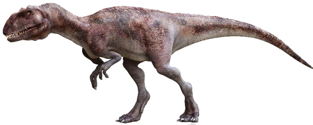 Majungatolo