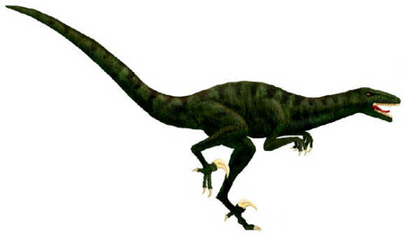 Megaraptor Megaraptor