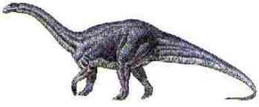 Melanorossauro Melanorossauro