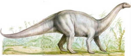 Melanorossauro Melanorossauro