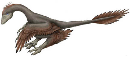 Microraptor Microraptor