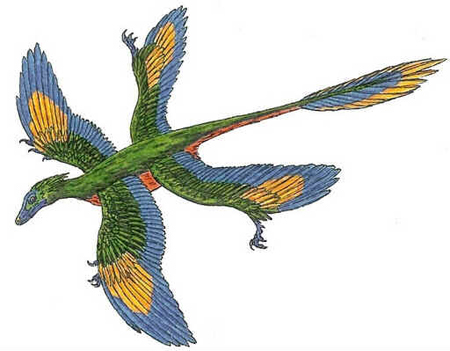 Microraptor Microraptor
