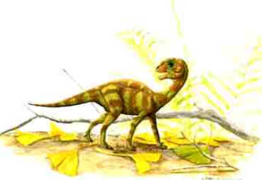 Mussaurus Mussaurus