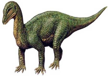 Mussaurus Mussaurus