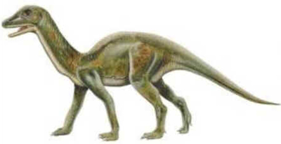 Mussaurus Mussaurus