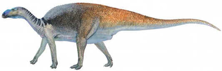 Mutaburrassauro