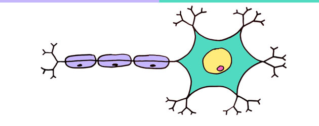 Neurônios