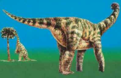 Opisthocoelicaudia