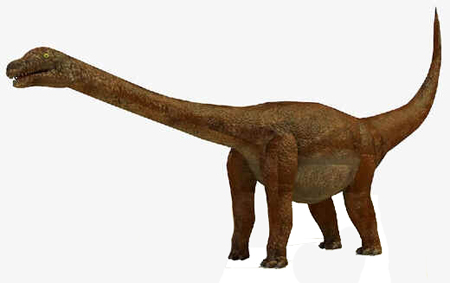 Opisthocoelicaudia