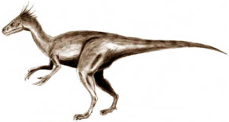 Ornitolestes Ornitolestes