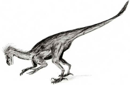 Ornitolestes Ornitolestes