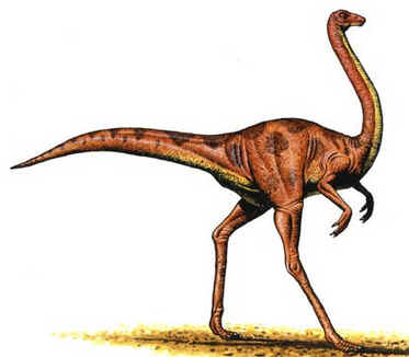 Ornitomimo Ornitomimo