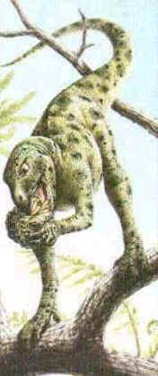 Othnielia Othnielia