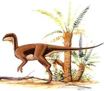Othnielia Othnielia