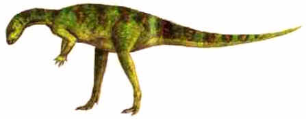 Othnielia Othnielia