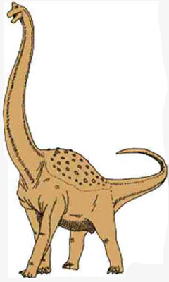 Pelorossauro