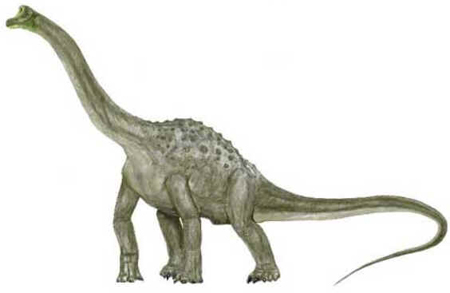 Pelorossauro