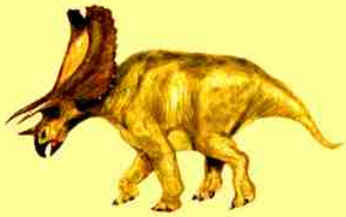 Pentaceratops Pentaceratops