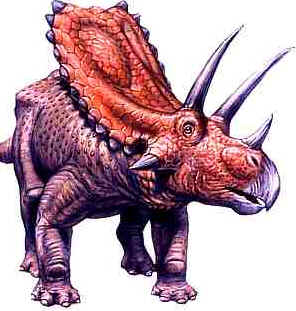 Pentaceratops Pentaceratops
