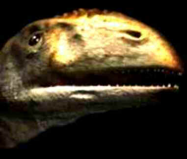 Peteinossauro